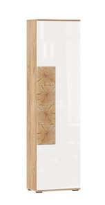 Шкаф одностворчатый Фиджи с декоративными накладками 659.300, Дуб Золотой/Белый в Брянске