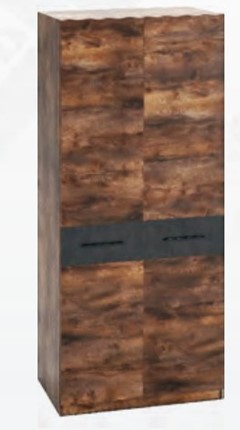 Шкаф распашной Глазго 2 дв, Металл Бруклин/Таксония в Брянске - изображение