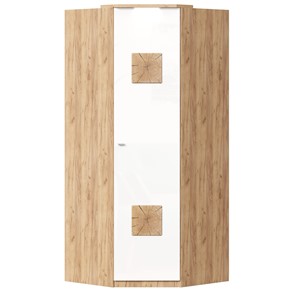 Шкаф угловой 45 с декоративной накладкой Фиджи, 659.248, белый в Брянске - предосмотр
