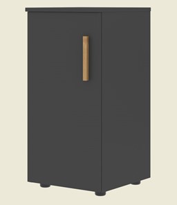 Низкий шкаф колонна с глухой дверью левой FORTA Черный Графит FLC 40.1 (L) (399х404х801) в Брянске