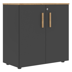 Низкий шкаф с малыми дверцами широкий FORTA Графит-Дуб Гамильтон  FLC 80.1(Z) (798х404х801) в Брянске